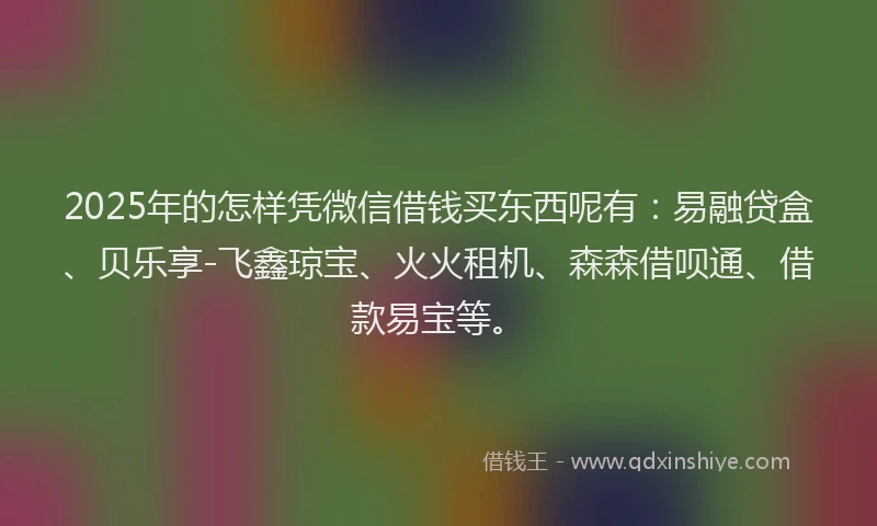2025年的怎样凭微信借钱买东西呢有：易融贷盒、贝乐享-飞鑫琼宝、火火租机、森森借呗通、借款易宝等。