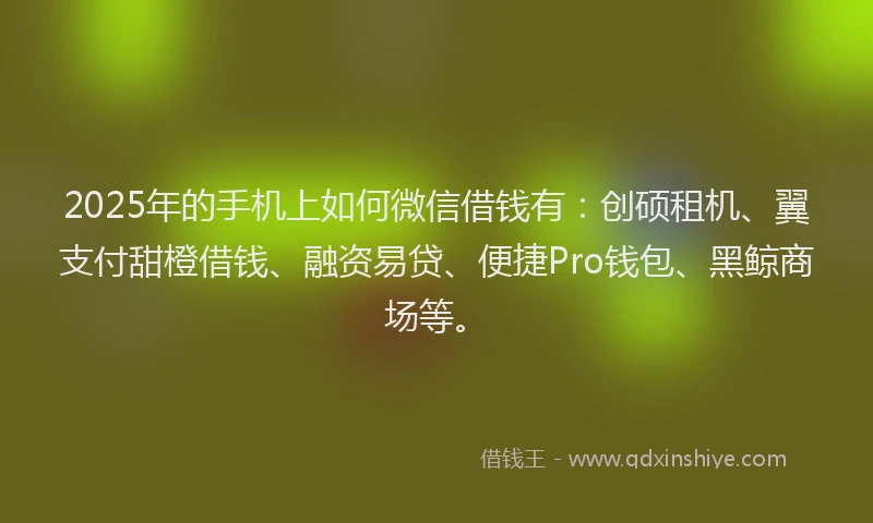 2025年的手机上如何微信借钱有：创硕租机、翼支付甜橙借钱、融资易贷、便捷Pro钱包、黑鲸商场等。