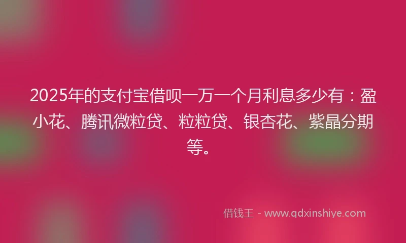 2025年的支付宝借呗一万一个月利息多少有：盈小花、腾讯微粒贷、粒粒贷、银杏花、紫晶分期等。