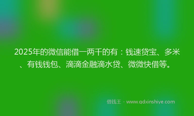 2025年的微信能借一两千的有：钱速贷宝、多米、有钱钱包、滴滴金融滴水贷、微微快借等。