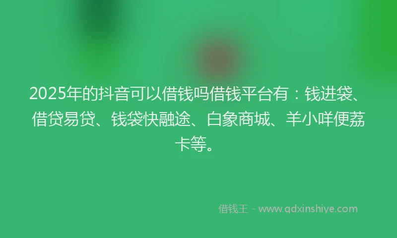 2025年的抖音可以借钱吗借钱平台有：钱进袋、借贷易贷、钱袋快融途、白象商城、羊小咩便荔卡等。