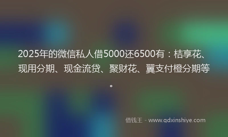 2025年的微信私人借5000还6500有：桔享花、现用分期、现金流贷、聚财花、翼支付橙分期等。