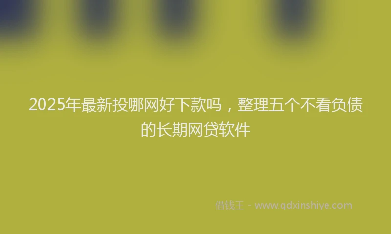 2025年最新投哪网好下款吗，整理五个不看负债的长期网贷软件