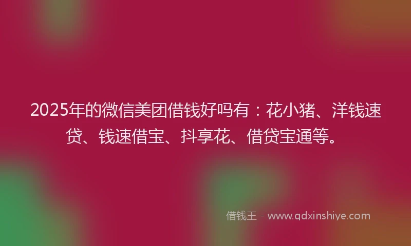 2025年的微信美团借钱好吗有：花小猪、洋钱速贷、钱速借宝、抖享花、借贷宝通等。