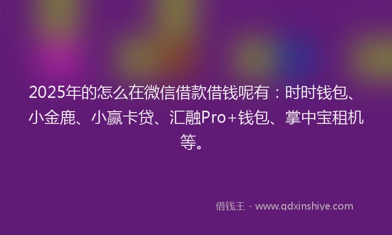 2025年的怎么在微信借款借钱呢有：时时钱包、小金鹿、小赢卡贷、汇融Pro+钱包、掌中宝租机等。