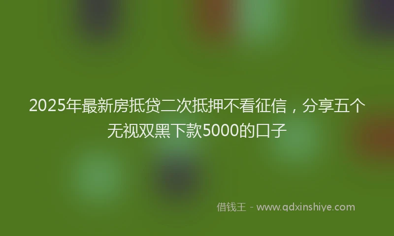 2025年最新房抵贷二次抵押不看征信，分享五个无视双黑下款5000的口子