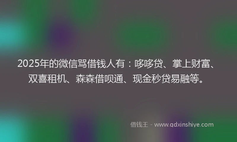 2025年的微信骂借钱人有：哆哆贷、掌上财富、双喜租机、森森借呗通、现金秒贷易融等。