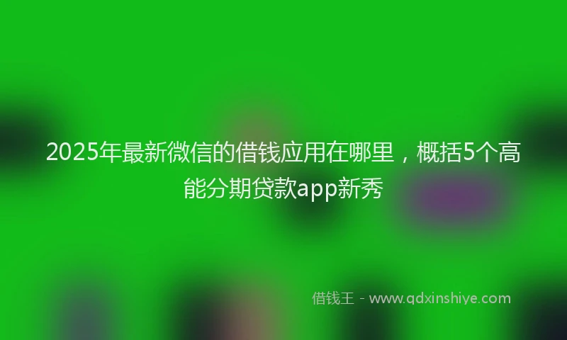 2025年最新微信的借钱应用在哪里，概括5个高能分期贷款app新秀