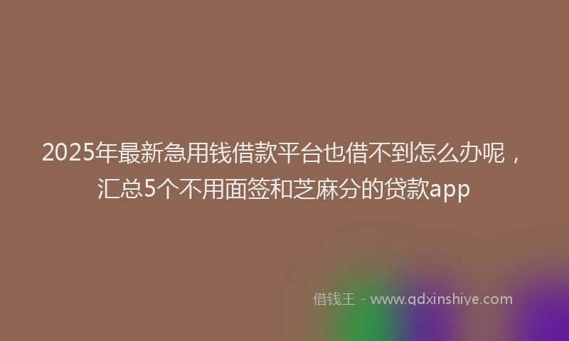 2025年最新急用钱借款平台也借不到怎么办呢，汇总5个不用面签和芝麻分的贷款app