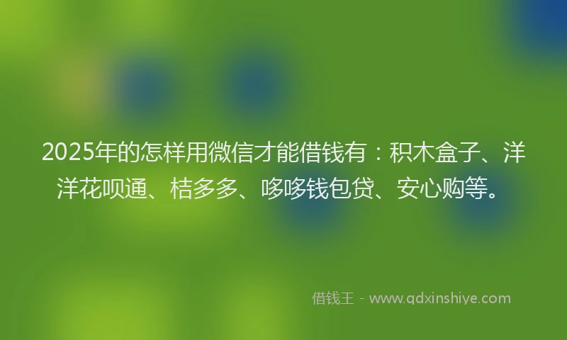 2025年的怎样用微信才能借钱有：积木盒子、洋洋花呗通、桔多多、哆哆钱包贷、安心购等。