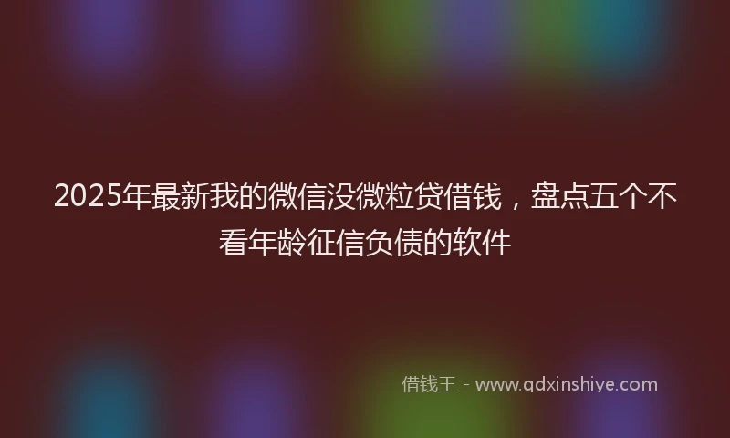 2025年最新我的微信没微粒贷借钱，盘点五个不看年龄征信负债的软件