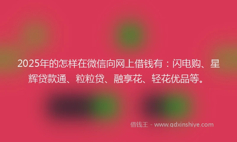 2025年的怎样在微信向网上借钱有：闪电购、星辉贷款通、粒粒贷、融享花、轻花优品等。