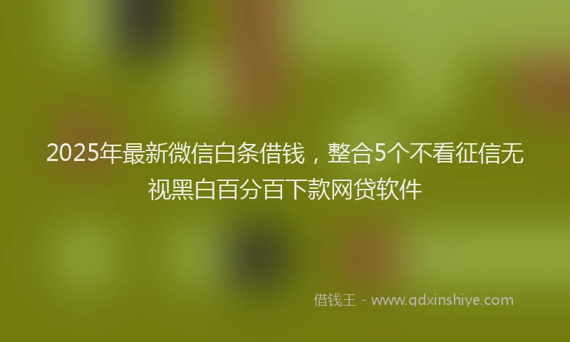 2025年最新微信白条借钱，整合5个不看征信无视黑白百分百下款网贷软件