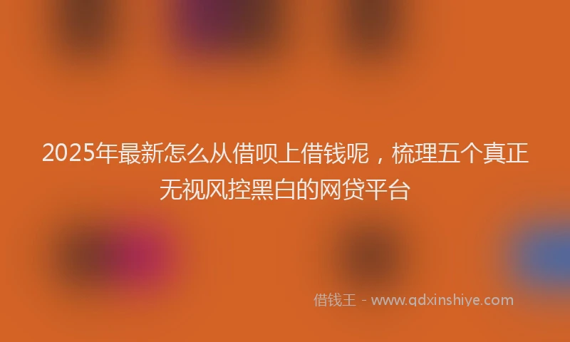 2025年最新怎么从借呗上借钱呢，梳理五个真正无视风控黑白的网贷平台