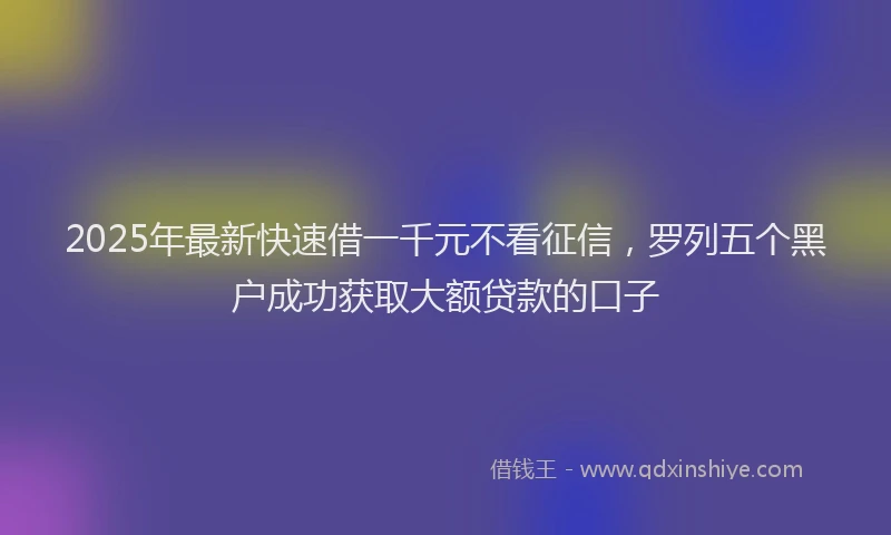 2025年最新快速借一千元不看征信，罗列五个黑户成功获取大额贷款的口子