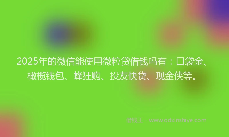 2025年的微信能使用微粒贷借钱吗有：口袋金、橄榄钱包、蜂狂购、投友快贷、现金侠等。