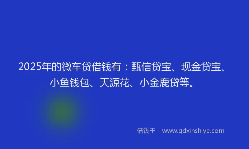 2025年的微车贷借钱有：甄信贷宝、现金贷宝、小鱼钱包、天源花、小金鹿贷等。