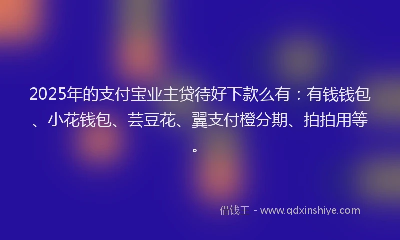 2025年的支付宝业主贷待好下款么有：有钱钱包、小花钱包、芸豆花、翼支付橙分期、拍拍用等。