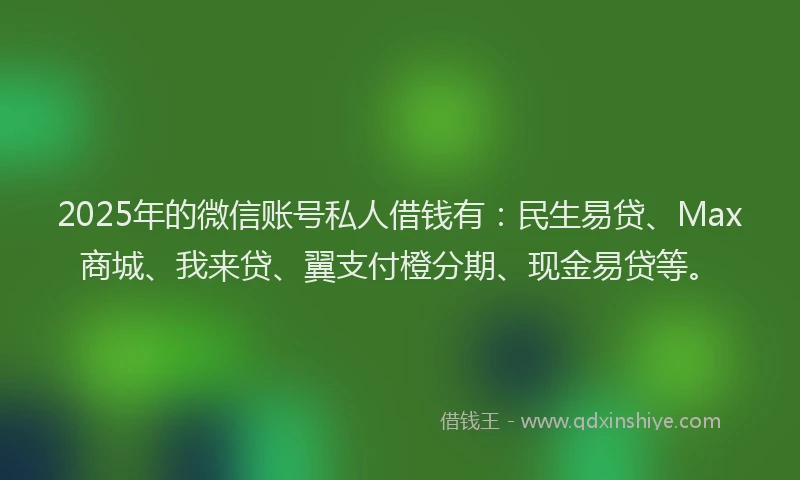 2025年的微信账号私人借钱有：民生易贷、Max商城、我来贷、翼支付橙分期、现金易贷等。