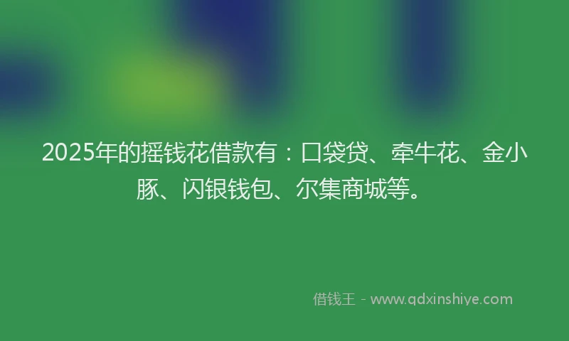 2025年的摇钱花借款有：口袋贷、牵牛花、金小豚、闪银钱包、尔集商城等。