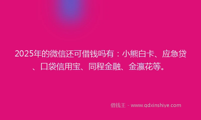 2025年的微信还可借钱吗有：小熊白卡、应急贷、口袋信用宝、同程金融、金瀛花等。