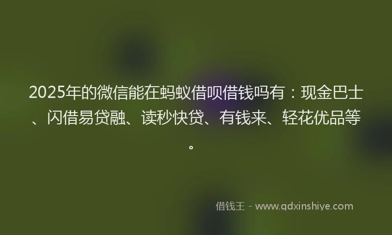 2025年的微信能在蚂蚁借呗借钱吗有：现金巴士、闪借易贷融、读秒快贷、有钱来、轻花优品等。