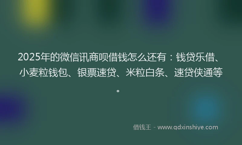 2025年的微信讯商呗借钱怎么还有：钱贷乐借、小麦粒钱包、银票速贷、米粒白条、速贷侠通等。