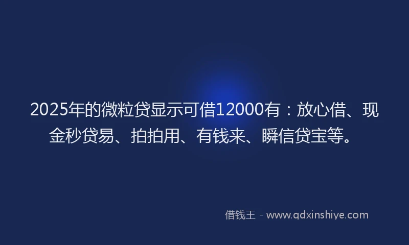2025年的微粒贷显示可借12000有：放心借、现金秒贷易、拍拍用、有钱来、瞬信贷宝等。