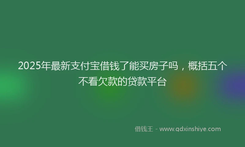 2025年最新支付宝借钱了能买房子吗，概括五个不看欠款的贷款平台