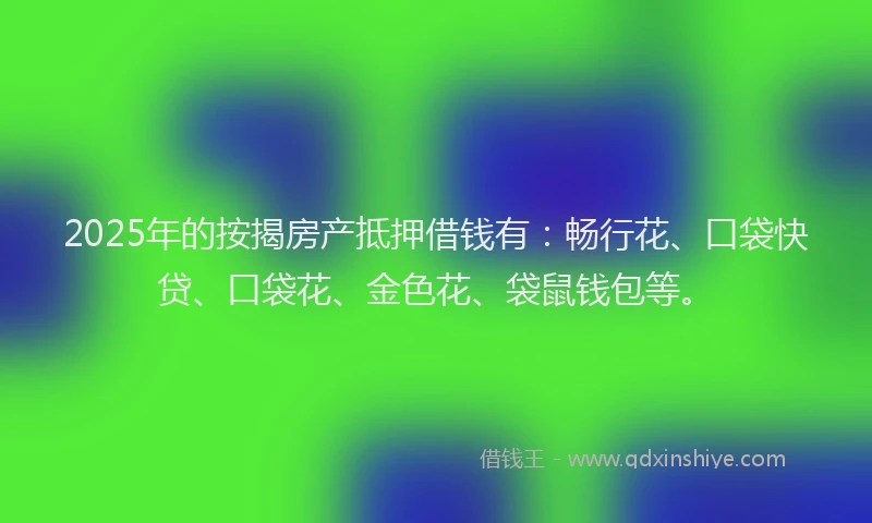 2025年的按揭房产抵押借钱有：畅行花、口袋快贷、口袋花、金色花、袋鼠钱包等。
