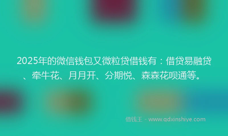 2025年的微信钱包又微粒贷借钱有：借贷易融贷、牵牛花、月月开、分期悦、森森花呗通等。