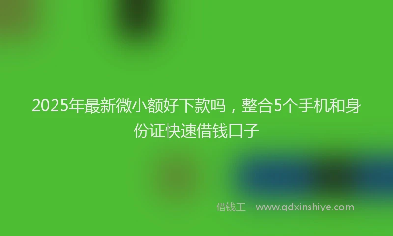 2025年最新微小额好下款吗，整合5个手机和身份证快速借钱口子