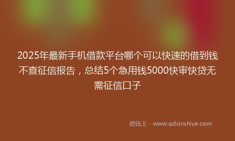 2025年最新手机借款平台哪个可以快速的借到钱不查征信报告，总结5个急用钱5000快审快贷无需征信口子