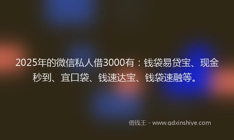 2025年的微信私人借3000有：钱袋易贷宝、现金秒到、宜口袋、钱速达宝、钱袋速融等。