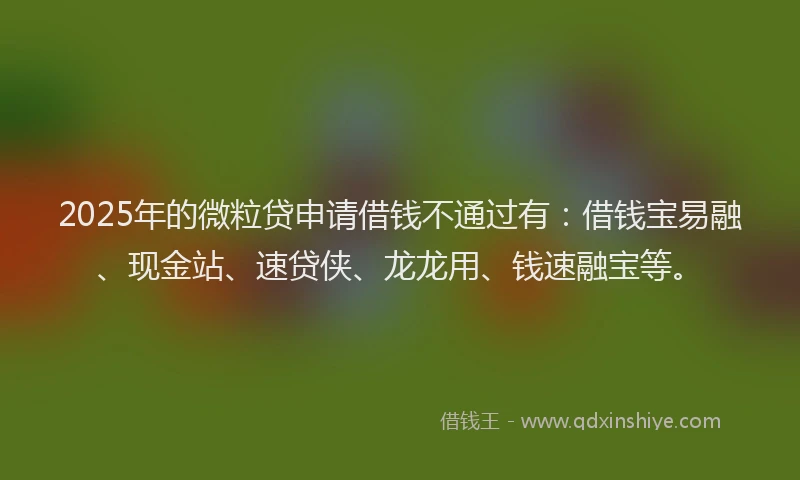 2025年的微粒贷申请借钱不通过有：借钱宝易融、现金站、速贷侠、龙龙用、钱速融宝等。