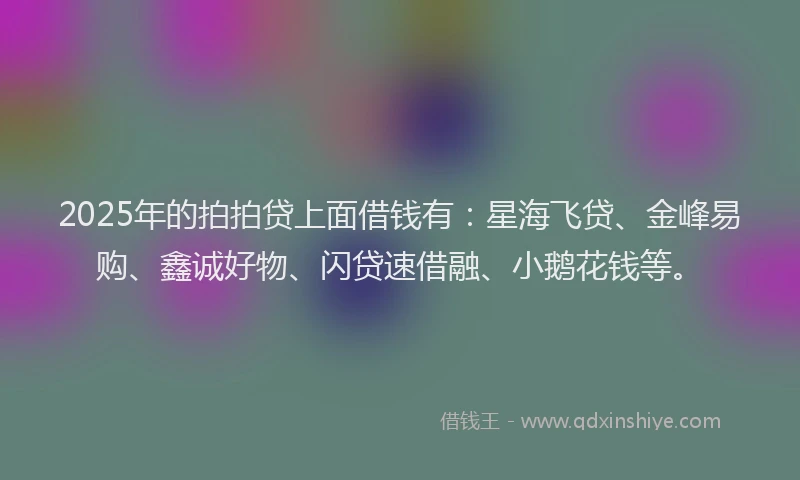 2025年的拍拍贷上面借钱有：星海飞贷、金峰易购、鑫诚好物、闪贷速借融、小鹅花钱等。