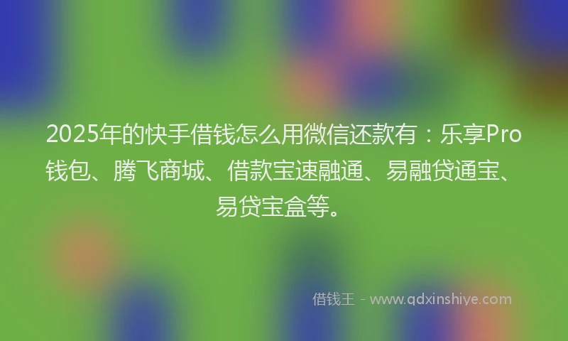 2025年的快手借钱怎么用微信还款有：乐享Pro钱包、腾飞商城、借款宝速融通、易融贷通宝、易贷宝盒等。