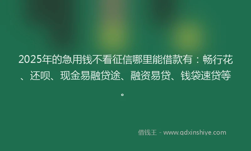 2025年的急用钱不看征信哪里能借款有：畅行花、还呗、现金易融贷途、融资易贷、钱袋速贷等。