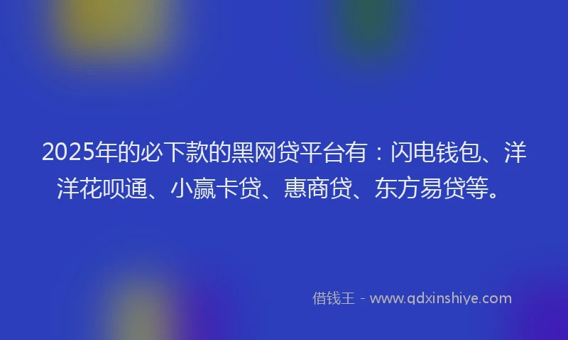 2025年的必下款的黑网贷平台有：闪电钱包、洋洋花呗通、小赢卡贷、惠商贷、东方易贷等。