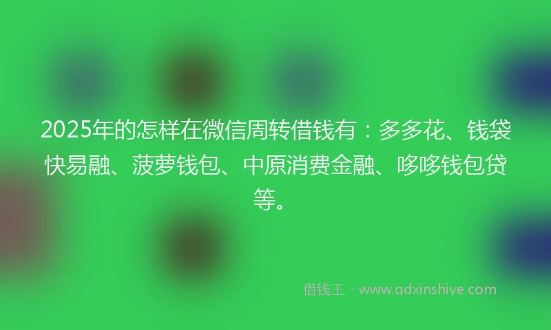 2025年的怎样在微信周转借钱有：多多花、钱袋快易融、菠萝钱包、中原消费金融、哆哆钱包贷等。