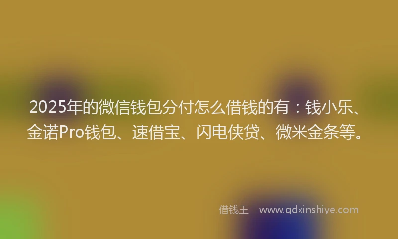 2025年的微信钱包分付怎么借钱的有：钱小乐、金诺Pro钱包、速借宝、闪电侠贷、微米金条等。