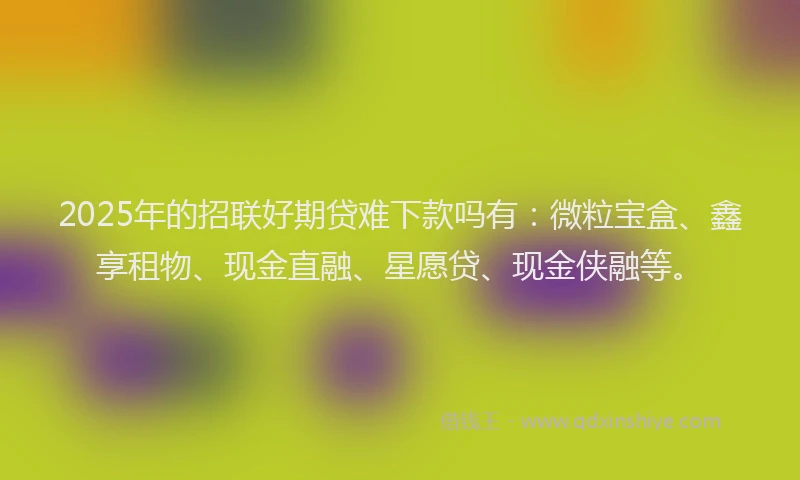 2025年的招联好期贷难下款吗有:微粒宝盒、鑫享租物、现金直融、星愿贷、现金侠融等。