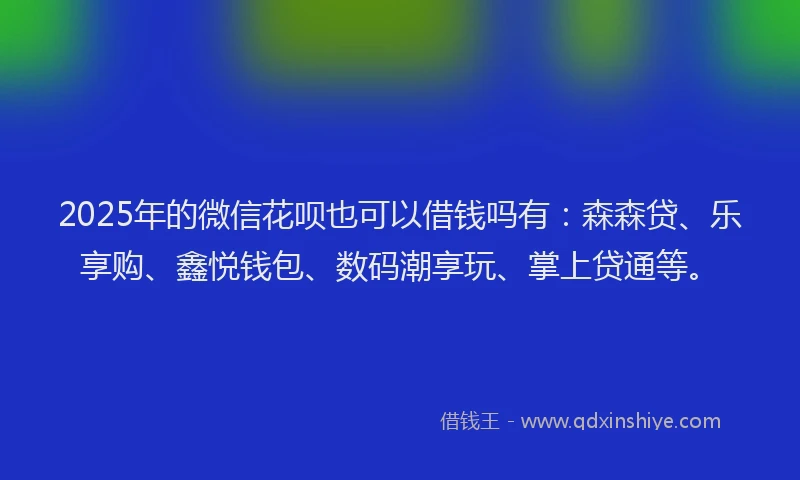 2025年的微信花呗也可以借钱吗有：森森贷、乐享购、鑫悦钱包、数码潮享玩、掌上贷通等。