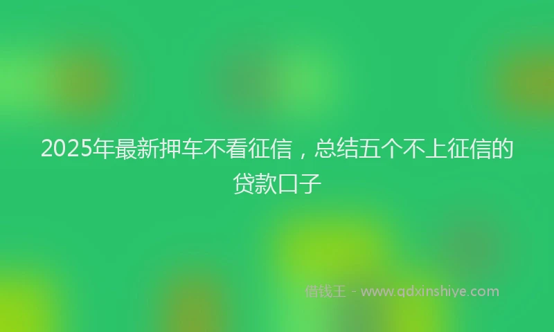 2025年最新押车不看征信，总结五个不上征信的贷款口子