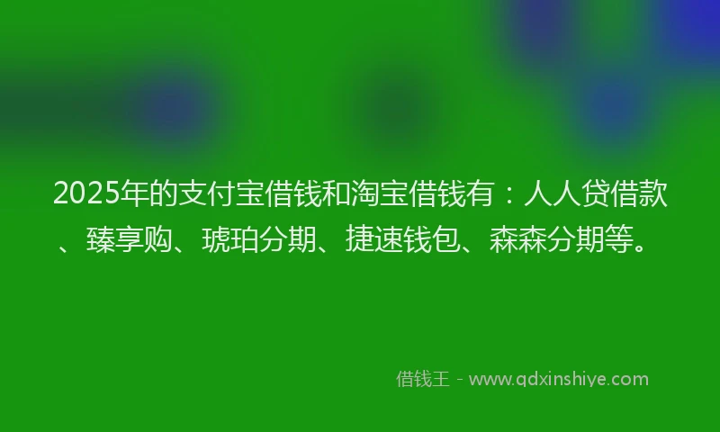 2025年的支付宝借钱和淘宝借钱有：人人贷借款、臻享购、琥珀分期、捷速钱包、森森分期等。