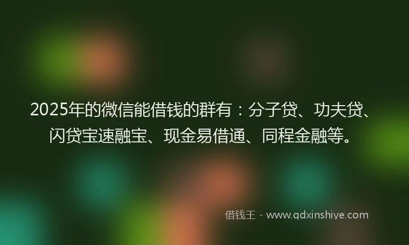 2025年的微信能借钱的群有：分子贷、功夫贷、闪贷宝速融宝、现金易借通、同程金融等。