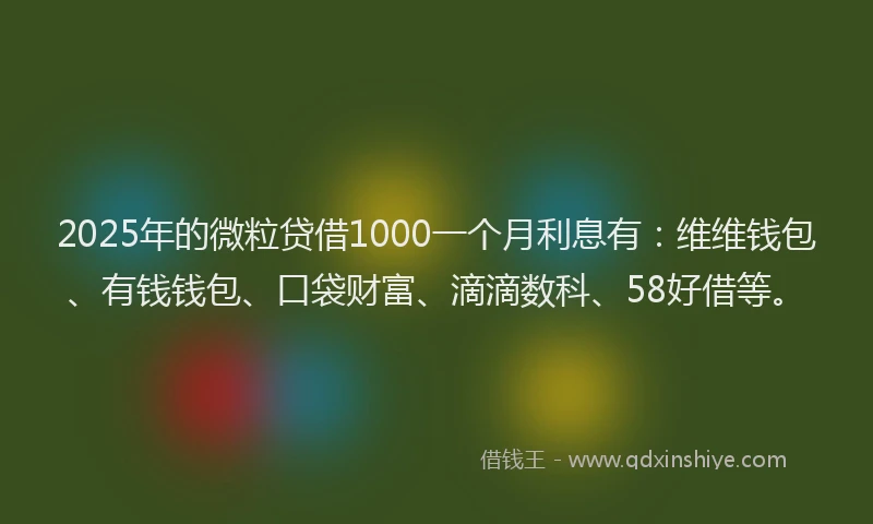2025年的微粒贷借1000一个月利息有：维维钱包、有钱钱包、口袋财富、滴滴数科、58好借等。