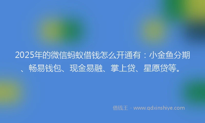 2025年的微信蚂蚁借钱怎么开通有：小金鱼分期、畅易钱包、现金易融、掌上贷、星愿贷等。