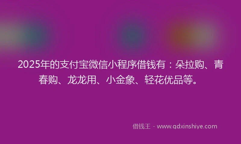 2025年的支付宝微信小程序借钱有：朵拉购、青春购、龙龙用、小金象、轻花优品等。