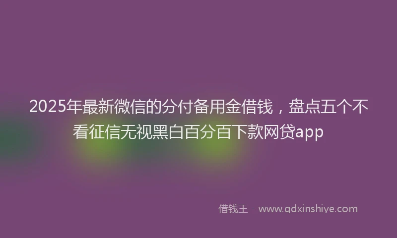 2025年最新微信的分付备用金借钱，盘点五个不看征信无视黑白百分百下款网贷app